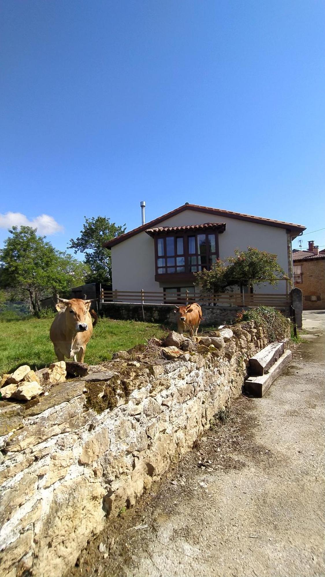 Vila El Rosal Beloncio Exteriér fotografie